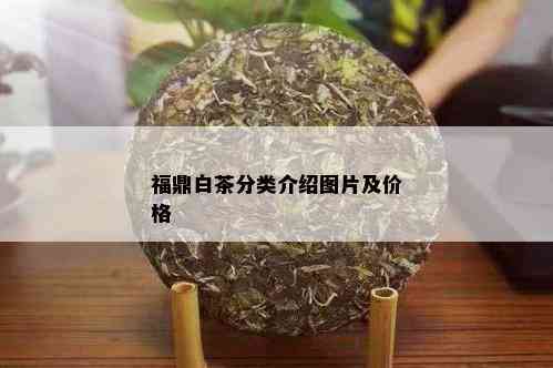 福鼎白茶分类介绍图片及价格