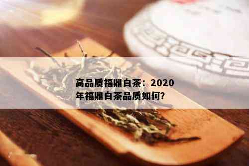 高品质福鼎白茶：2020年福鼎白茶品质如何？