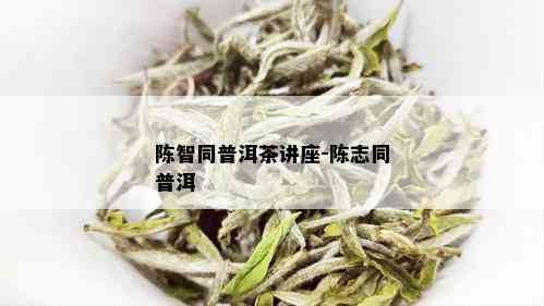 陈智同普洱茶讲座-陈志同普洱