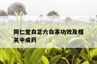 同仁堂白芷六白茶功效及相关中成药