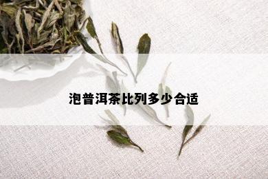 泡普洱茶比列多少合适