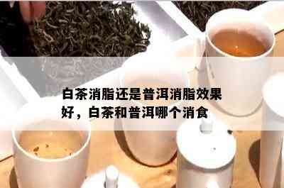 白茶消脂还是普洱消脂效果好，白茶和普洱哪个消食