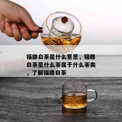 福鼎白茶是什么意思，福鼎白茶是什么茶属于什么茶类，了解福鼎白茶