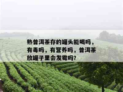 熟普洱茶存的罐头能喝吗，有吗，有营养吗，普洱茶放罐子里会发霉吗？