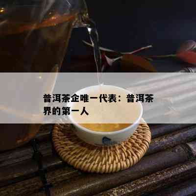 普洱茶企唯一代表：普洱茶界的之一人