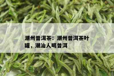 潮州普洱茶：潮州普洱茶叶罐，潮汕人喝普洱