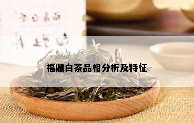 福鼎白茶品相分析及特征