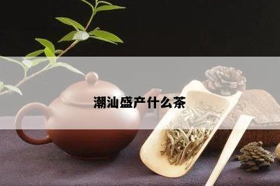 潮汕盛产什么茶