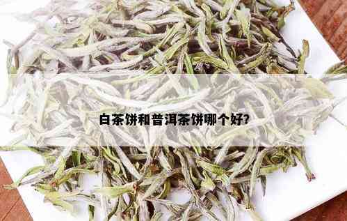 白茶饼和普洱茶饼哪个好？