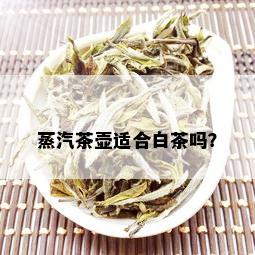 蒸汽茶壶适合白茶吗？