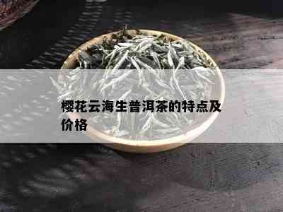 樱花云海生普洱茶的特点及价格