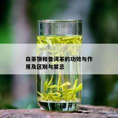 白茶饼和普洱茶的功效与作用及区别与禁忌