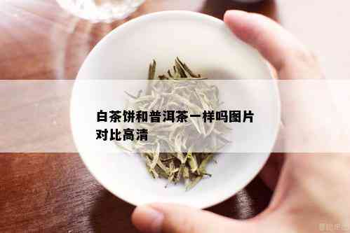 白茶饼和普洱茶一样吗图片对比高清