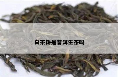 白茶饼是普洱生茶吗