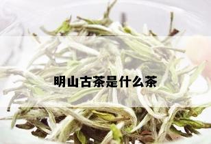 明山古茶是什么茶