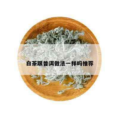 白茶跟普洱做法一样吗推荐