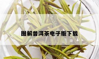 图解普洱茶电子版下载