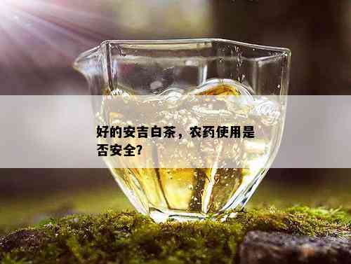 好的安吉白茶，农药使用是否安全？