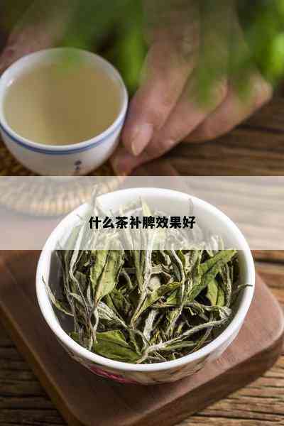 什么茶补脾效果好