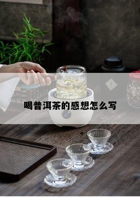 喝普洱茶的感想怎么写