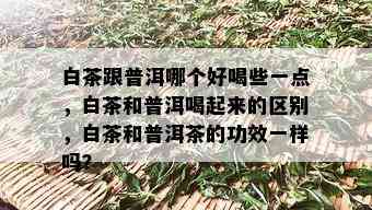 白茶跟普洱哪个好喝些一点，白茶和普洱喝起来的区别，白茶和普洱茶的功效一样吗？