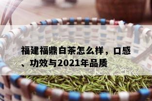 福建福鼎白茶怎么样，口感、功效与2021年品质