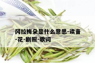 冈拉梅朵是什么意思-读音-花-剧照-歌词