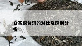 白茶跟普洱的对比及区别分析