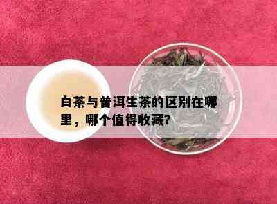 白茶与普洱生茶的区别在哪里，哪个值得收藏？