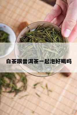 白茶跟普洱茶一起泡好喝吗