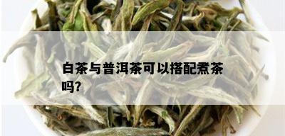 白茶与普洱茶可以搭配煮茶吗？