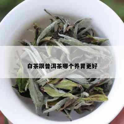 白茶跟普洱茶哪个养胃更好