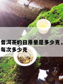 普洱茶的日用量是多少克，每次多少克