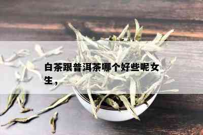 白茶跟普洱茶哪个好些呢女生，