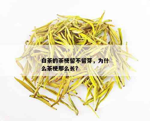 白茶的茶梗留不留芽，为什么茶梗那么长？