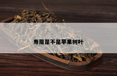 寿眉是不是苹果树叶