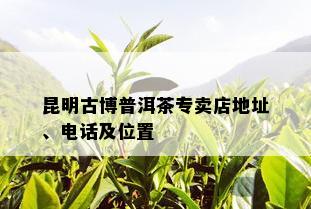 昆明古博普洱茶专卖店地址、电话及位置