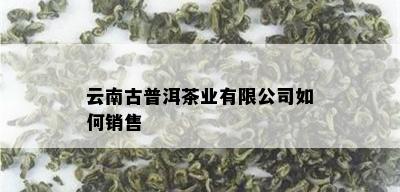 云南古普洱茶业有限公司如何销售