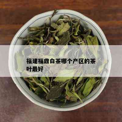 福建福鼎白茶哪个产区的茶叶更好