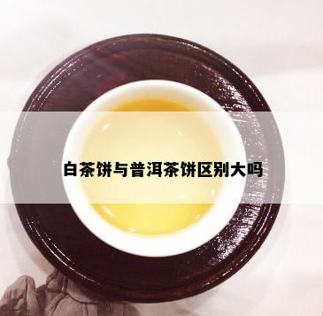 白茶饼与普洱茶饼区别大吗