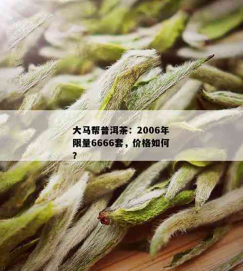 大马帮普洱茶：2006年 *** 6666套，价格如何？