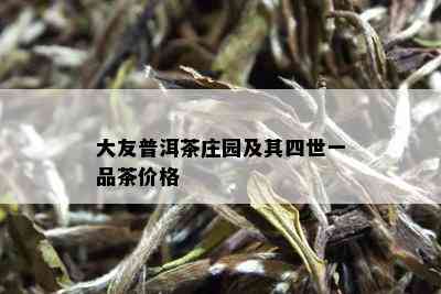 大友普洱茶庄园及其四世一品茶价格