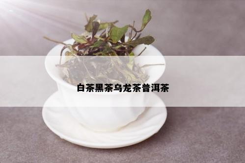 白茶黑茶乌龙茶普洱茶