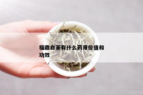 福鼎白茶有什么药用价值和功效