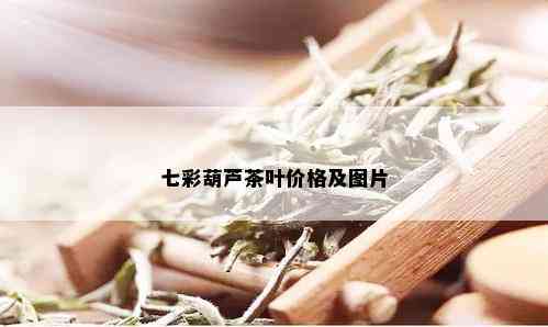 七彩葫芦茶叶价格及图片