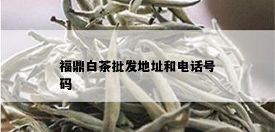 福鼎白茶批发地址和电话号码