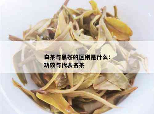 白茶与黑茶的区别是什么：功效与代表名茶