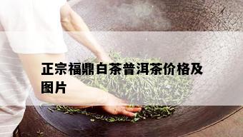 正宗福鼎白茶普洱茶价格及图片