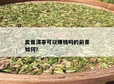 卖普洱茶可以赚钱吗的前景如何？