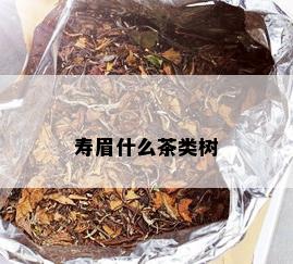 寿眉什么茶类树